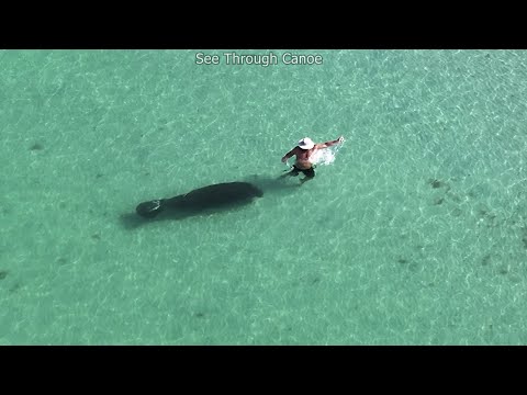 Popis Port Manatee
