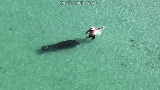 Poor guy got scared, the Manatee I mean. Video was taken yesterday near St Pete Beach in Florida