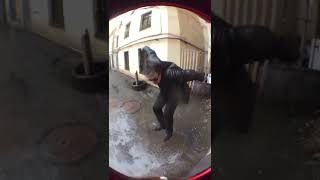 TOM WAITS - MAKE IT RAIN