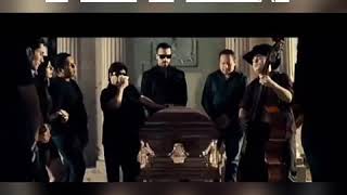 El Malo De Culiacán - Alfredito Olivas