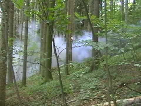 Baum sprengen extreme Langenbruck