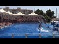 Marineland Mallorca
