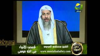 منوعات 229 قصص الأنبياء24 11 2011