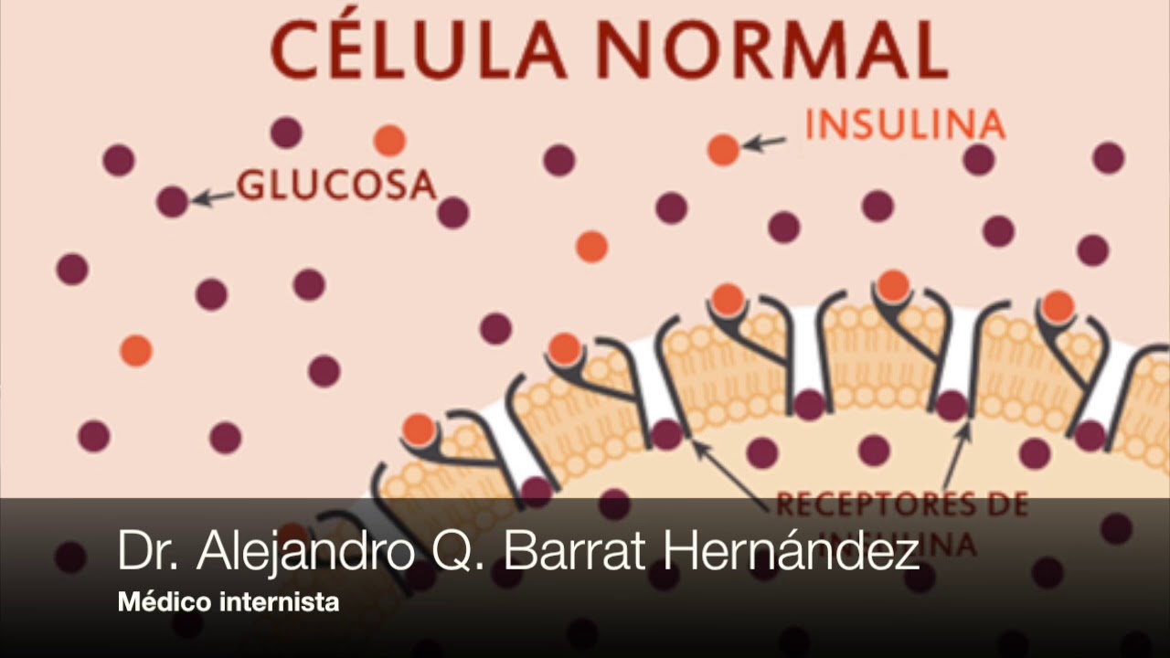 Alejandro Quintín Barrat Hernández-36