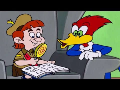 Woody the Babysitter | Woody Woodpecker