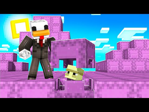 MINECRAFT MA IL MONDO È FATTO SOLO DI SHULKER BOX