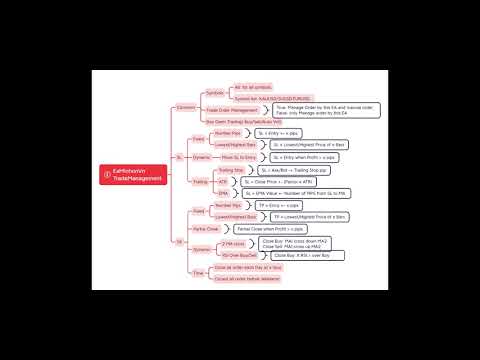 Video MT4 Trade Management