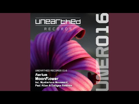 Moonflower (Paul Allen Remix)