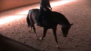 Anne and Oxygen SWE A2R clinic 170521