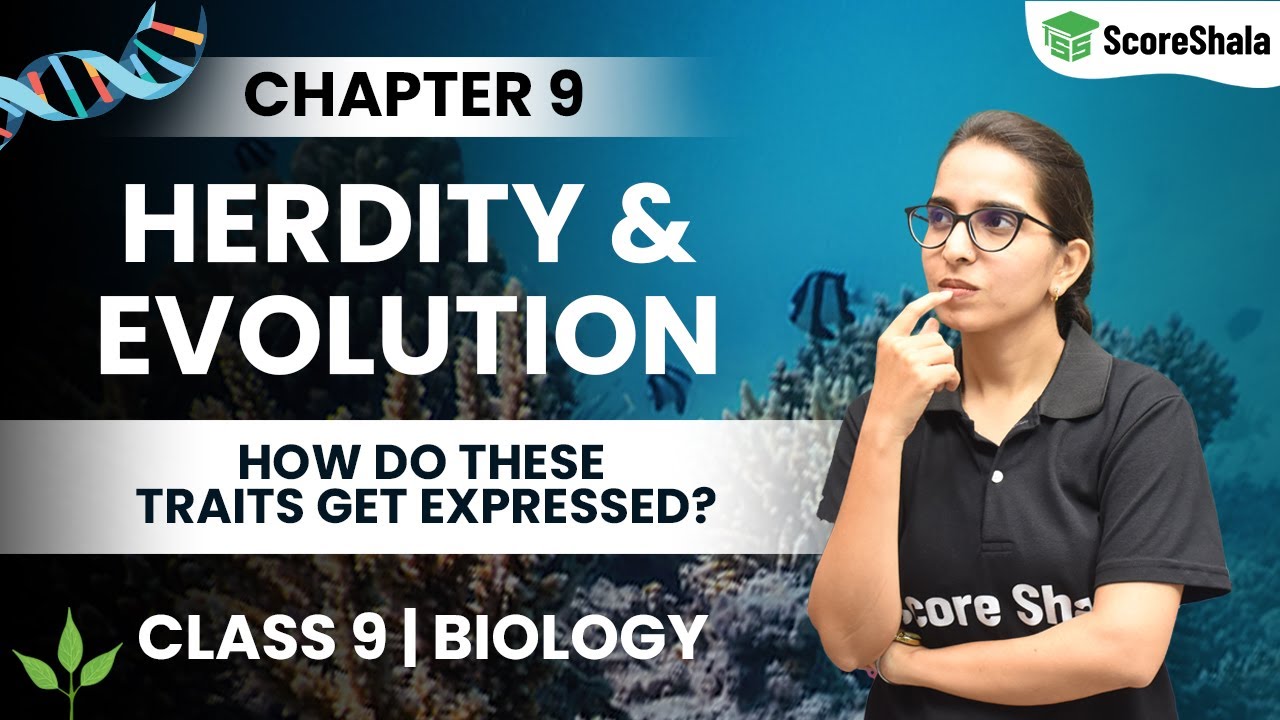 Heredity And Evolution Class 10- How Do These Traits Get Expressed | Class 10 Biology Chapter 9
