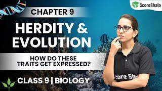 Heredity And Evolution Class 10- How Do These Traits Get Expressed | Class 10 Biology Chapter 9