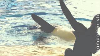 The story of a girl // Happy Birthday Skyla