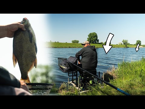 Brassen Feedern am Vorfluter - SO GEHT´S!