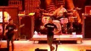 Senses Fail - The Rapture &amp; Shark Attack