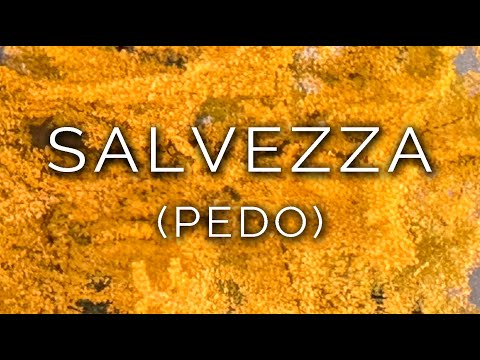 1404-IT Elvira, SALVEZZA (PEDO) - Ipnosi Esoterica ∞ Lucio Carsi