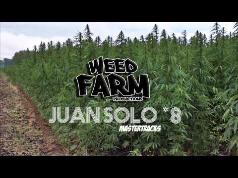 [MASTER TRACK *8] JUAN SOLO (Weed Farm Productions)