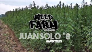 [MASTER TRACK *8] JUAN SOLO (Weed Farm Productions)