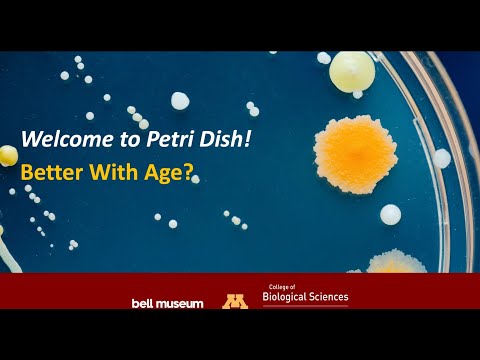 Better with age? A Petri Dish conversation