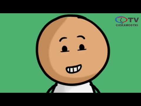  ' . get_the_title() . ' 