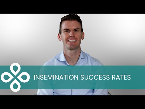 Is Insemination (IUI) Successful Compared to Natural Conception?