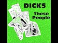 Dicks - Executive Dive