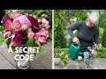 The Victorian Language of Flowers - Send a Secret Message