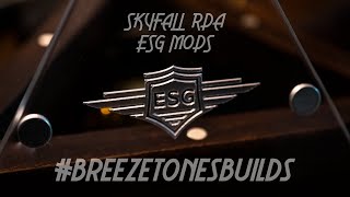 Skyfall RDA ESG Mods  #breezetonesbuilds