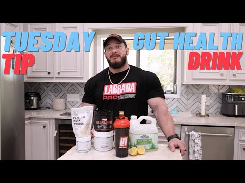 Gut Health Drink | Tuesday Tip | Hunter Labrada