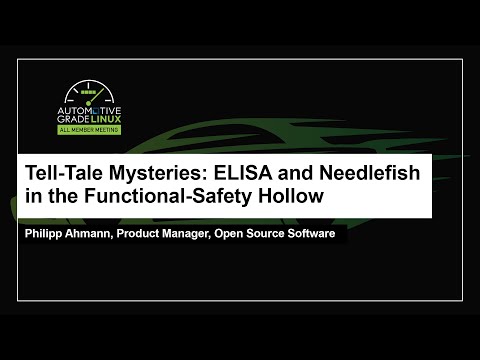 Tell-Tale Mysteries: ELISA and Needlefish in the Functional-Safety Hollow - Philipp Ahmann
