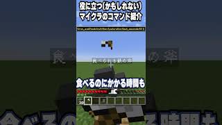 【マイクラ 1.21 】すべてのアイテムを食べられるようにできる!!【コマンド紹介】#minecraft #ゲーム実況 #マインクラフト #shorts
