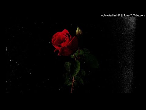[FREE] ZOLA x PLK x LETO TYPE BEAT " ROSES 🥀 " (prod by @DCX @Spleen)