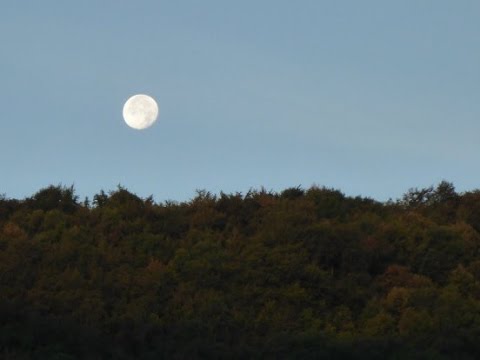 Sondeln mit Sondel-Andy. Der erste Herbststurm beschert interessante Funde.Teil 148