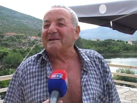 19.07.2013. Jedna svinja a 20 poludivljih prasića