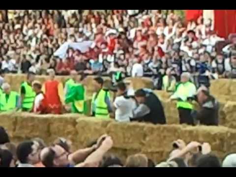 Eselrennen in Alba, Piemont.  3