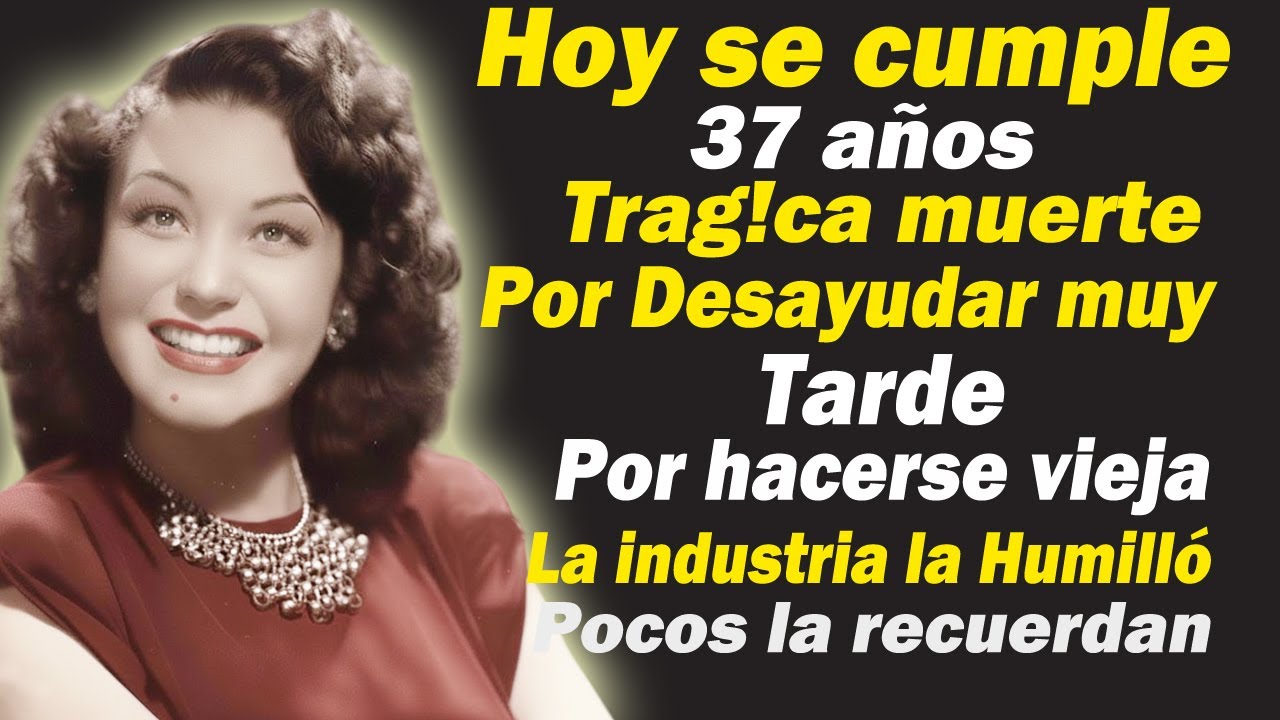 YouTube Thumbnail Downloader FULL HQ IMAGE