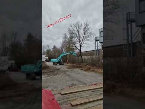 Baumfällung von Profis, Bagger bringt Baum kontrolliert zu Fall Forstwirtschaft Waldarbeit