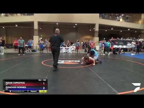 195 Lbs 3rd Place Match - Aidan Copestick, AR Vs Donovan Hodges, MO 9fa2