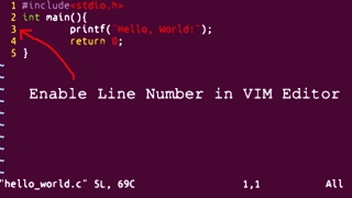 Enable Line Number in VIM editor