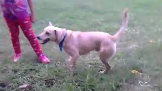 El duende del Parque de Extremoduro por Alboroto  (tati Cam)