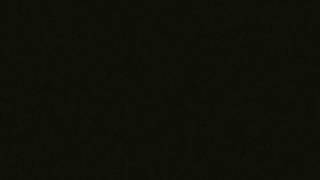 The Strypes - (I Wanna Be Your) Everyday [LYRICS]