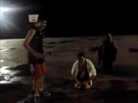 Proves de nit - Estades 2013/2014