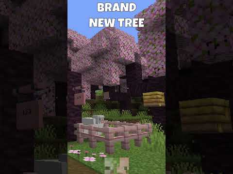 NEW 1.20 BIOME! Cherry Blossom Biome! Minecraft 1.20 News! #shorts