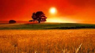 Amazed - Desperation Band (w/ Lyrics)