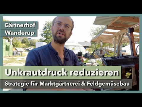 Weniger Unkraut im Gemüsebau (Feldgemüse & Marktgärtnerei) | Gärtnerhof Wanderup | Rundgang 1 | 2023