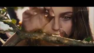 Cecile Corbel - Walking In The Air | Visual Remix |