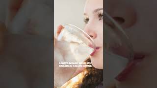 Download lagu Air Es Bikin Gemuk, Mitos atau Fakta? Ini Jawabannya! mp3