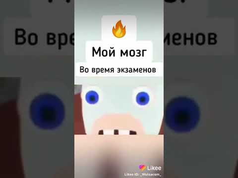 Мой мозг во время экзаменов