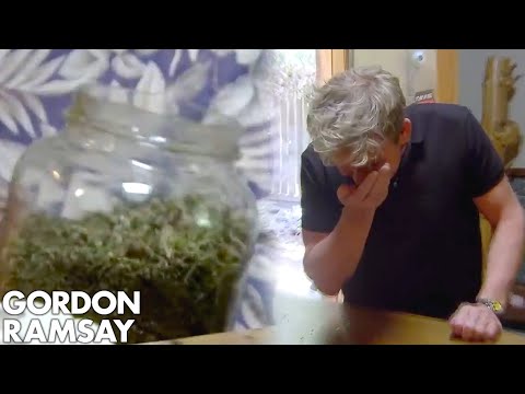 Gordon Ramsay Shocked At Hotel Owners Marijuana | Hotel Hell