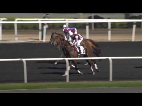 16.02.2013 Meydan (Dubai-UAE) 4.Race Al Basti Equiworld Hartog Cup -  1.600 m