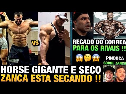 HORSE MOSTRA SHAPE ENORME E SECO - ZANCA SECANDO RÁPIDO - CORREA MANDA RECADO PARA RIVAIS E MAIS